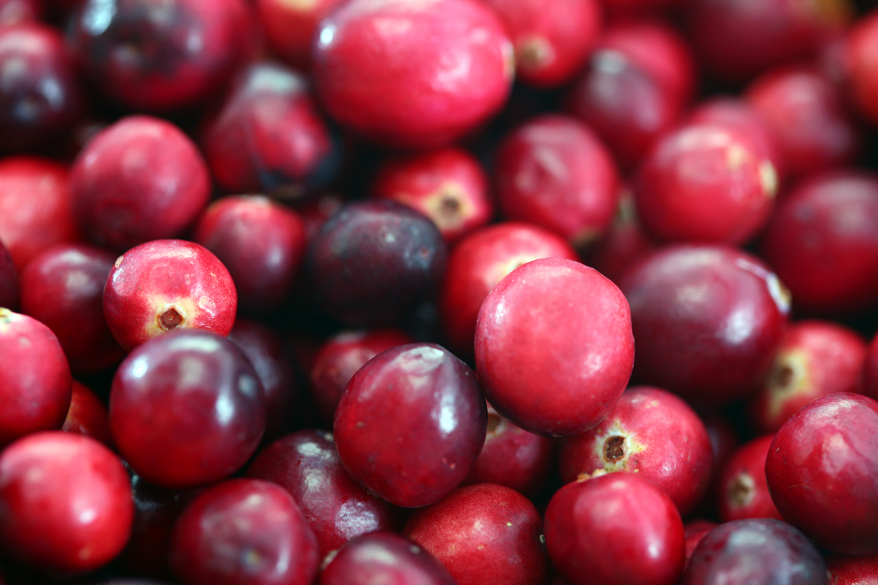 3 okt – Excursie naar The Cranberry Company