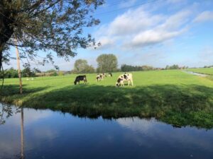 Voedselfamilie Krimpenerwaard Horeca Catering Zorginstellingen