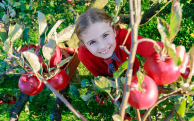 Leader project van start: ‘Jeugd en Boer zijn een gezonde toekomst Waard’