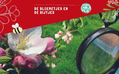 Bezoek aan de boomgaard in bloei – groep 3,4