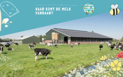 Bezoek melkveebedrijf – groep 3,4,5,6,7,8
