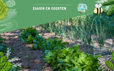 Bezoek aan tuinbouwbedrijf – groep 7,8
