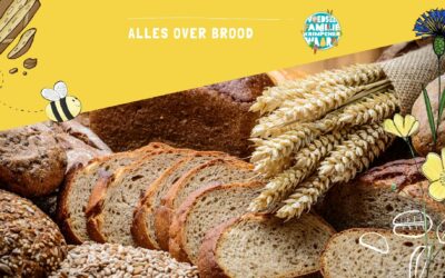 Waar komt ons brood vandaan? – groep 1,2