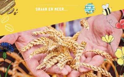 Ontdek een wereld aan granen – groep 7,8