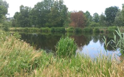 2 juli – Agroforestry Dag Zuid-Holland