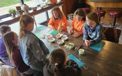 Kinderklimaattop – Workshop Kiemgroente