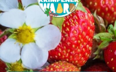 Column #05 – Je aardbei hoeft geen vliegbrevet te hebben om bij jou op tafel te belanden