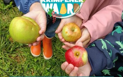 Column #10 – Natte voeten? Niet voor onze appelbomen!